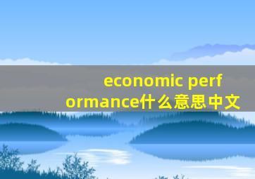 economic performance什么意思中文